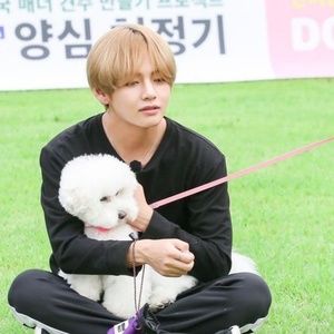 Meet your Posher, Carly